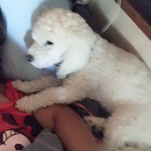 Meet your Posher, Mina